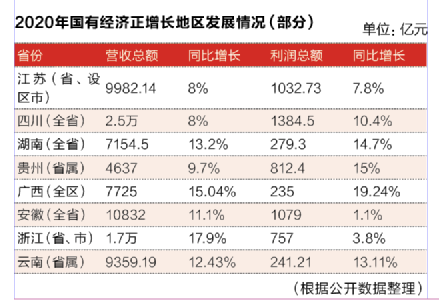 2020年國有經(jīng)濟(jì)正增長(zhǎng)地區(qū)發(fā)展情況（部分）